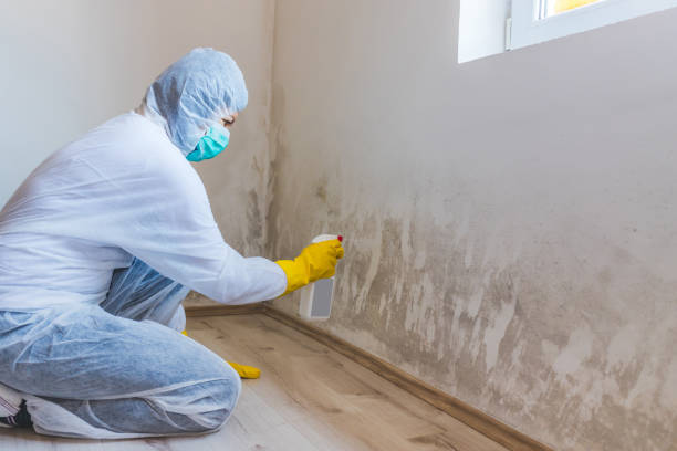 Commercial Mold Remediation assessment for commercial property in Lancaster